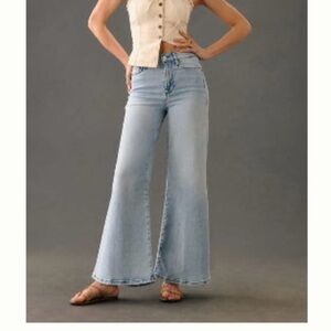 Frame Denim Blue Flare Wide Leg Jeans